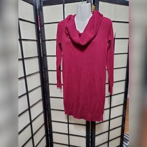 Express Cowl Neck Sweater Dress